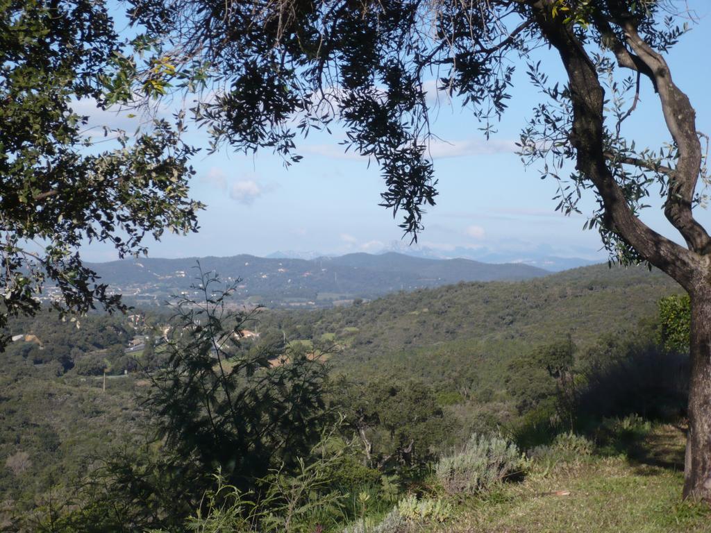 Villa Merveille Bormes-les-Mimosas Kültér fotó