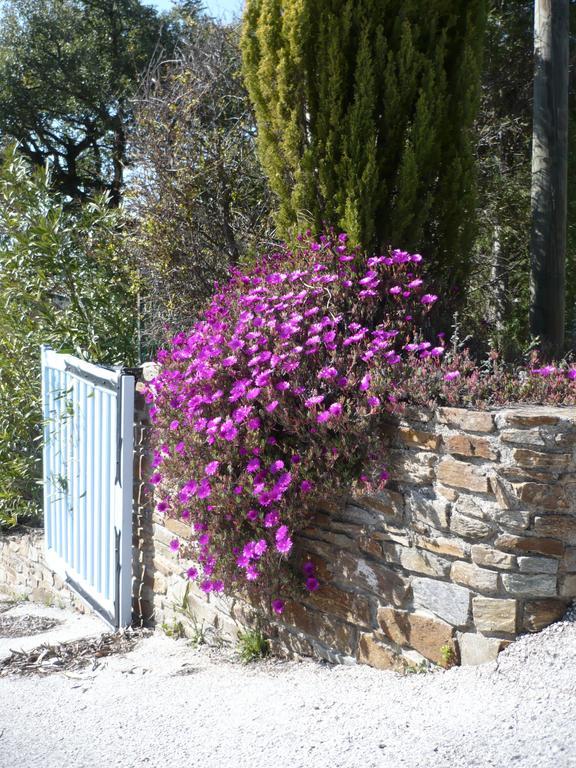 Villa Merveille Bormes-les-Mimosas Kültér fotó